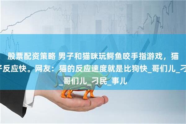 股票配资策略 男子和猫咪玩鳄鱼咬手指游戏，猫咪比男子反应快。网友：猫的反应速度就是比狗快_哥们儿_刁民_事儿