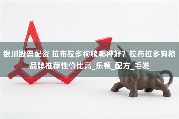 银川股票配资 拉布拉多狗粮哪种好？拉布拉多狗粮品牌推荐性价比高_乐顿_配方_毛发